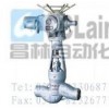J961Y-P55140V,J61Y-P54170V,J61Y-P54170V，電站截止閥,