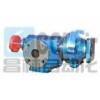 DPZ-1.2/0.6，DPZ-1.6/0.6，DPZ-3.3/0.6，DPZ-4/0.6，高真空強排式齒輪泵