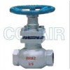 U11SM-16，U11SM-16C，U11SM-16P，U11SM-16R，內(nèi)螺紋柱塞閥