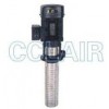 CDLK20-20/2，CDLK20-30/3，CDLK20-40/4，CDLK20-50/5，浸入式多級離心泵