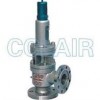 A40Y-64C，A40Y-64I，A40Y-100C，A40Y-100I，帶封閉散熱器彈簧全啟式安全閥