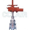 Z943F，Z9B43WF，Z9B43WD，Z9B43WY，Z9B43WbF，Z9B43WbY，電動平板閘閥
