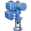 B+Z250/K1240,B+Z250/F1240,B+Z250/K1840,B+Z250/F1840,B+Z250/K1260,B+Z250/F1260,直行程電動執(zhí)行機構(gòu)